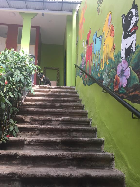 Blacky Hostel And Apartments (Adults Only) Cuzco Exteriér fotografie